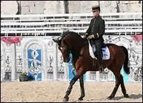 Qu'est-ce que le piaffer ?