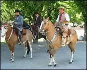 O vivent les gauchos, leveurs de btail en Amrique latine ?