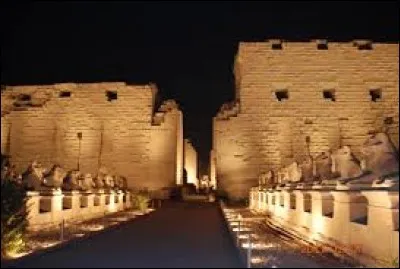 Quelle ville se situe en Afrique ?