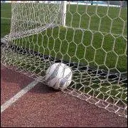 Comment s'appelle le goal d'un joueur qui marque dans son propre but ?