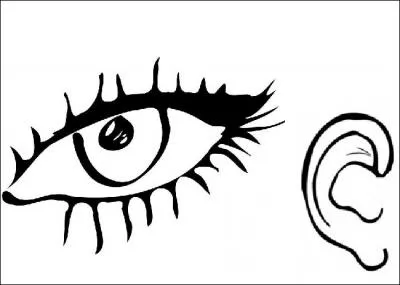 Traduis : ' Regarde et coute ! '