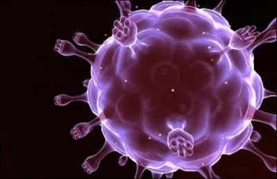 Sant. Cette anne-l, le prix Nobel de mdecine rcompense la dcouverte du virus du Sida, dcouvert en 1983. En quelle anne sommes-nous ?