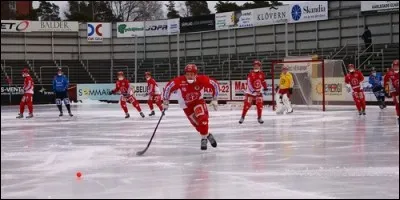 Quel est l'autre nom du hockey russe ?