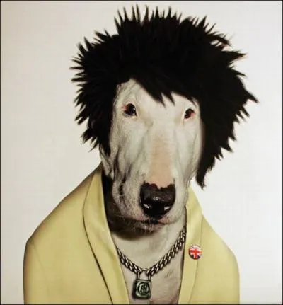 Il �tait membre du groupe punk ' Sex Pistols ' :