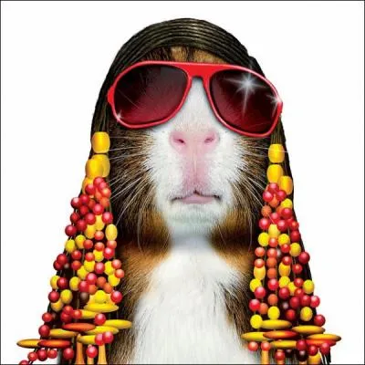 Ce chanteur aveugle est consid�r� comme le prince de la soul et du rythm and blues :