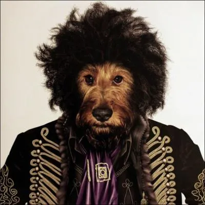 Il donna � la guitare �lectrique ses lettres de noblesse :