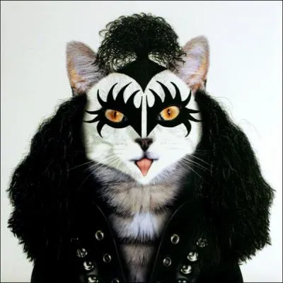 Gene Simmons dans le groupe de hard rock :