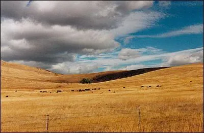 O ce scelette  t trouv ? J'ai mis une photo du pays ou de l'tat o il a t trouv .