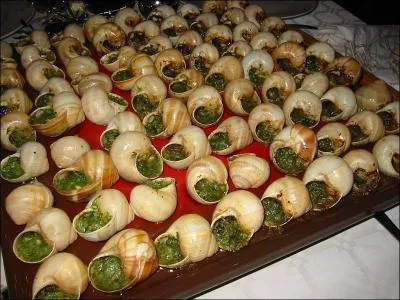 Des escargots :