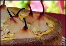 Comment s'appelle ce dessert rustique, grosse couronne de pte aux poires ?