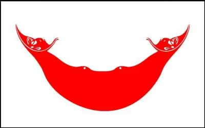 De quel pays provient ce drapeau ?