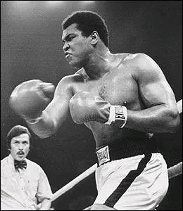 Quel tait le Q. I de Mohamed Ali ?