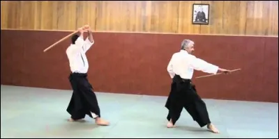 Dans quel sport de combat peut-on s'entraîner avec un bâton ?