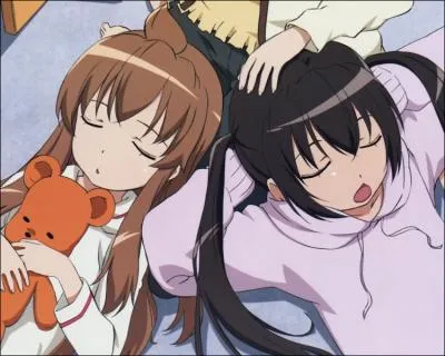 D'o provient cette image ?