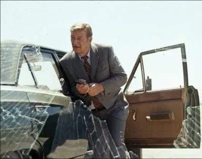 Dans ce film sorti en 1974, il est le Lieutenant Lon McQ ...