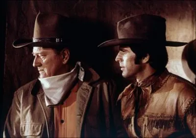 Dans ce film sorti en 1970, il est le Colonel Cord Mac Nally ...