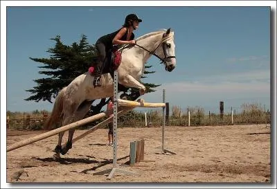 Ce cheval est-il dans l'impulsion ? Si oui, laquelle ?