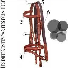 Quelles sont les parties du filet dans cette ordre : 1, 2, 3, 4 ?