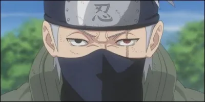 Ce Jônin spécialisé se nomme :