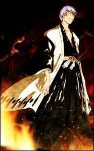 Qui est l'ancien vice-capitaine de la Cinquime Division qui trahit la Soul Society par la suite ?