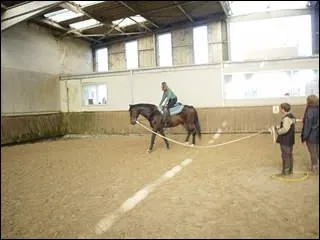 Qu'est-ce qu'une volte ?