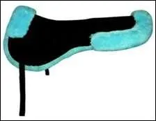 Comment s'appelle celui-ci ?