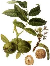 Vous ne devriez pas avoir de mal  reconnatre...