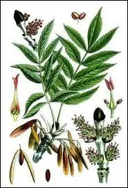 Avec tous ces indices, vous avez reconnu...