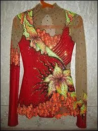 Comment s'appelle cet habit ?