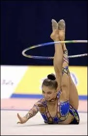 Dans qu'elle catgorie est cette figure ?