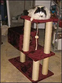 Et n'oublions pas ce meuble contemporain qui envahit nos maisons :