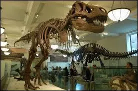 Le Museum d'histoire naturelle, le Jardin des plantes et la ménagerie. (5e arrondissement)