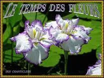 Qui a chant 'Le temps des fleurs' ?