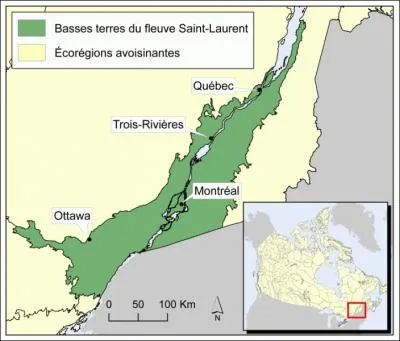 Les Europens descendant  Montral pour la premire fois, trouvent le paysage particulirement plat. Quel est le systme dans lequel se trouve la rgion de Montral ?