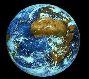 Quelle est cette plante ?