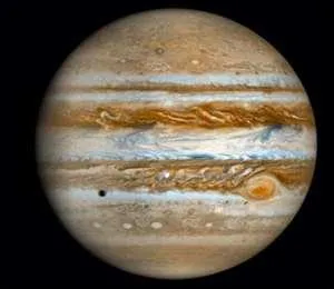 Quelle est cette plante ?