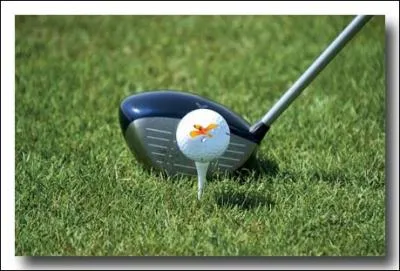 Un Parcours de Golf comprend gnralement...