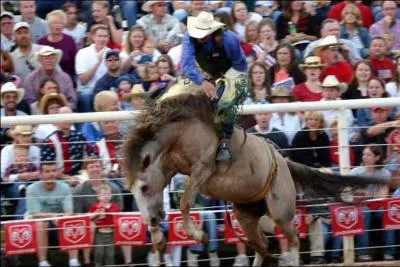 Comment appelle-t-on ce rendez-vous organis par les cowboys ?