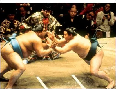 Lors d'un combat de Sumo, par quels objets , l'autorit de l'arbitre est-elle reprsente ?