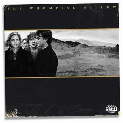 Cet album est aussi un album du groupe de la question 3. Quel est son titre original ?