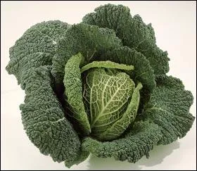 Compltez le titre du film : La Soupe aux...