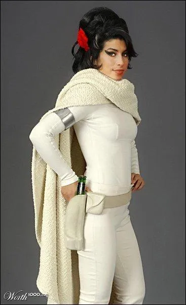 Vous l'avez reconnu , il s'agit de...