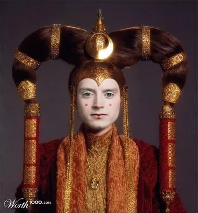 Quel personnage du ' Seigneur des Anneaux', se cache sous les traits de la Reine Amidala ?