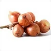 De quelle couleur est l'chalote de Jersey ?