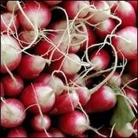 De quel pays est originaire le radis ?