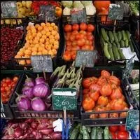 Que dsigne le Brassica napus ?