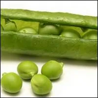 En 1660 de quel pays fut import le petit pois ?