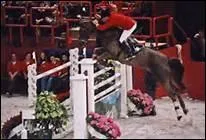 Qu'est-ce qu'un oxer ?