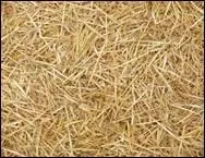 Qu'utilise-t-on pour bouchonner un cheval qui transpire ou qui est mouill ?