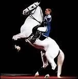 Quelle race de chevaux est utilise par l'Ecole espagnole de Vienne ?